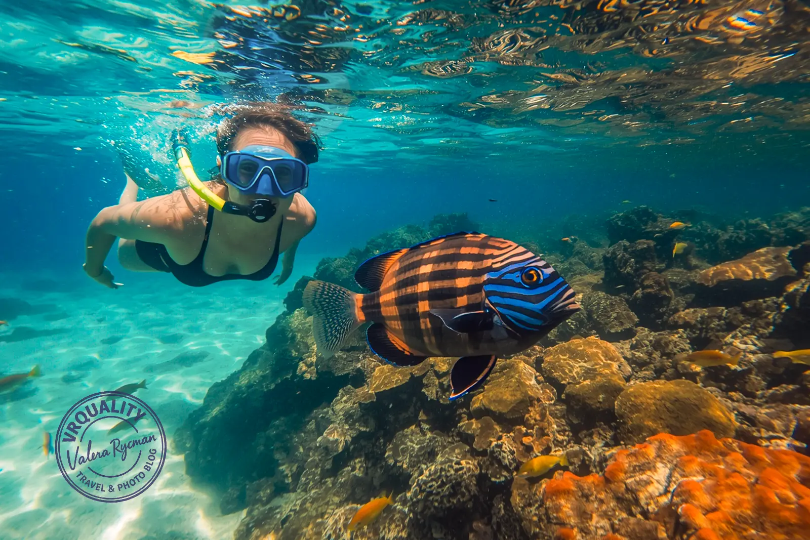 Атол Ари дайвинг среди кораллов и экзотических рыб