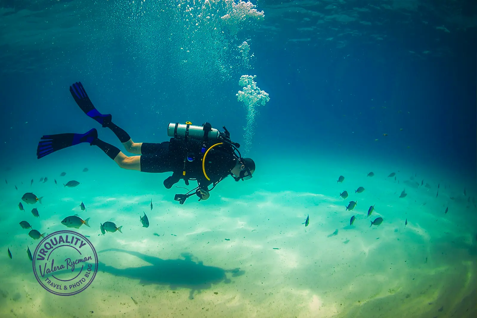 Острова Рача подводный мир и дайвинг среди рыб