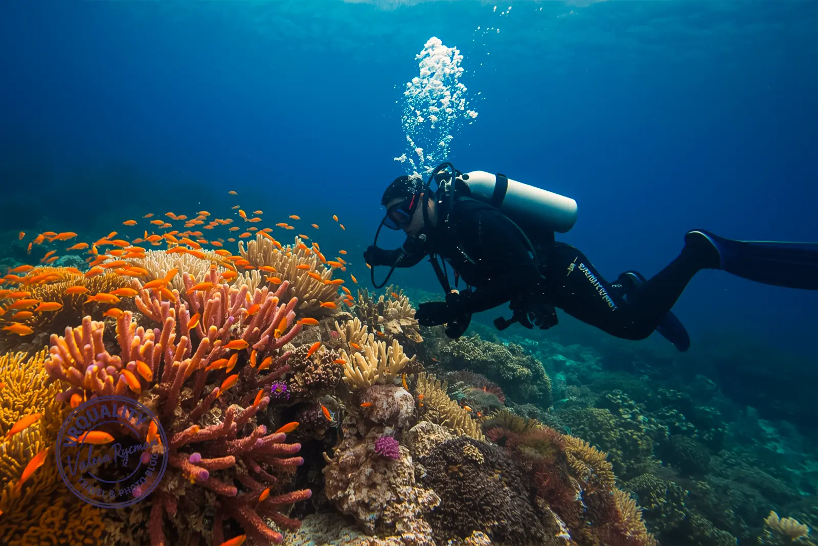 Острова Симилан дайвер исследует коралловый риф